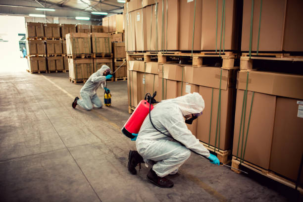 Best Mosquito Control Services  in Brandon, SD