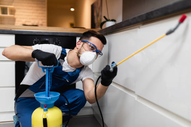 Flea Control Services in Brandon, SD