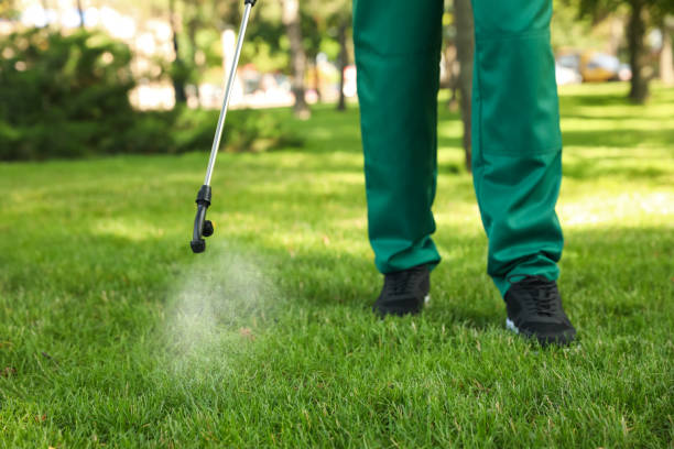 Best Residential Pest Control  in Brandon, SD
