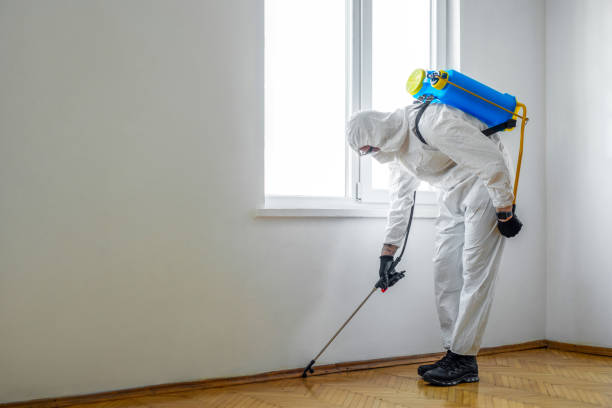 Best Exterminator Services  in Brandon, SD
