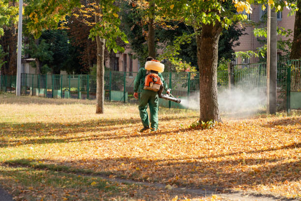Best Affordable Pest Control Services  in Brandon, SD