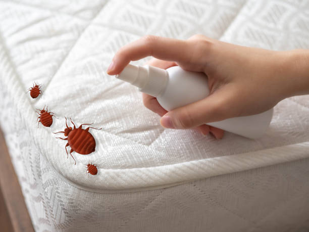 Best Emergency Pest Control  in Brandon, SD