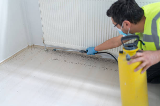 Best Pest Inspection Near Me  in Brandon, SD