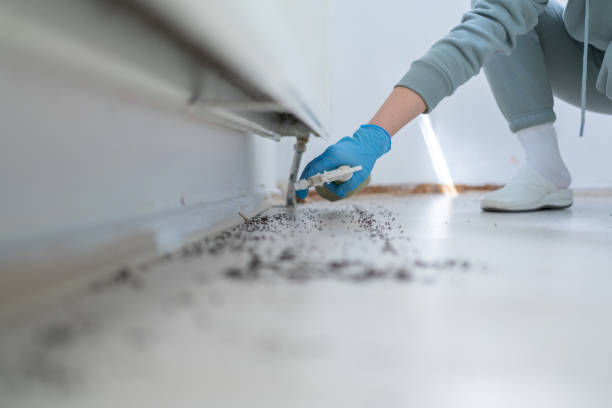 Best Bed Bug Extermination  in Brandon, SD